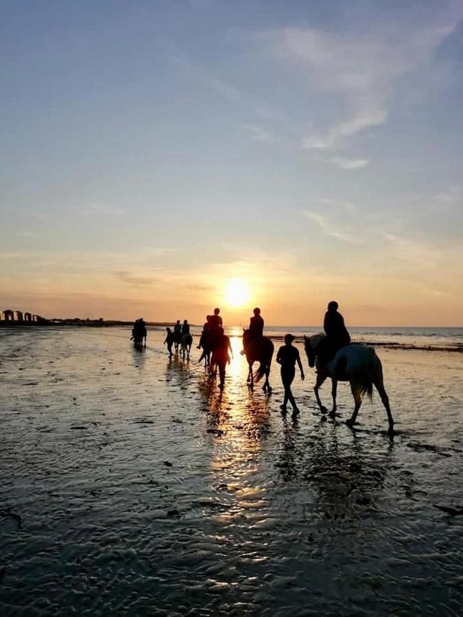 Le Cocon De Nacre - A 300M De La Plage - Wifi Courseulles-sur-Mer Esterno foto