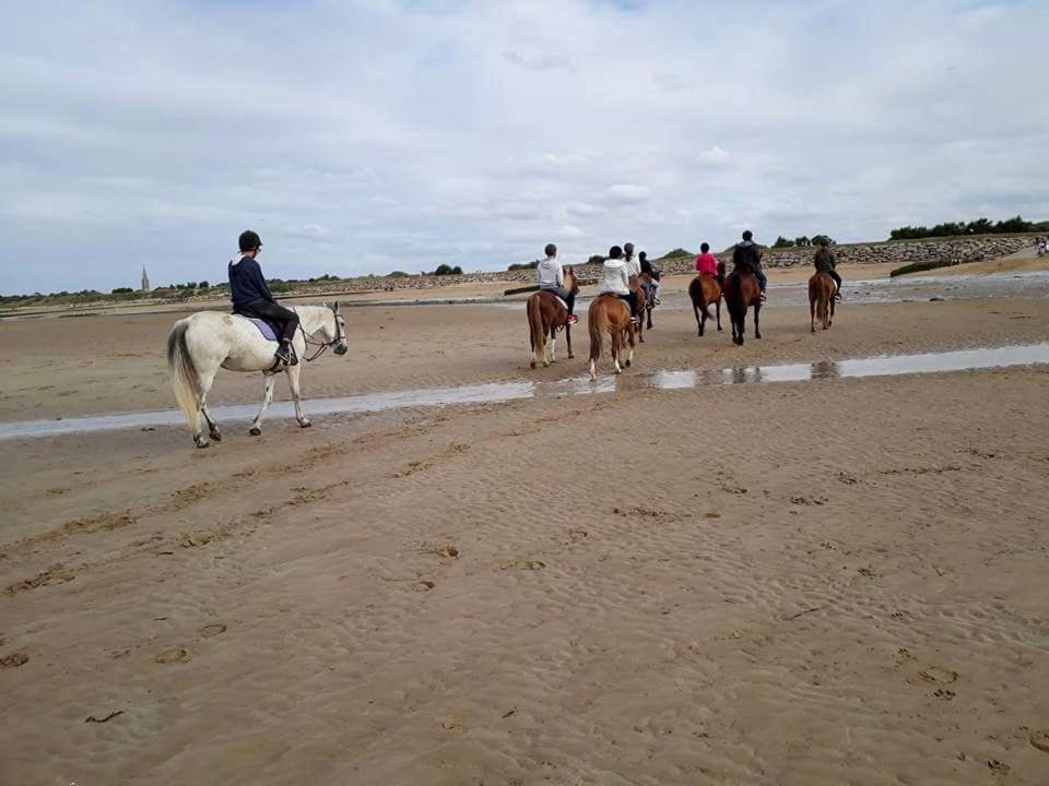 Le Cocon De Nacre - A 300M De La Plage - Wifi Courseulles-sur-Mer Esterno foto